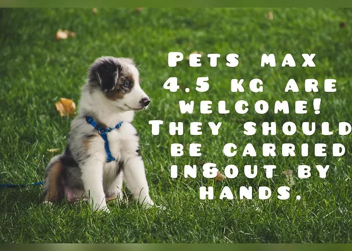 Apartman Dea Pasavan Ravda